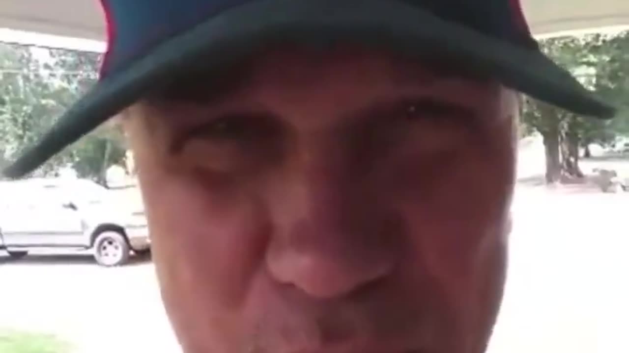 Proper Wasp Disposal