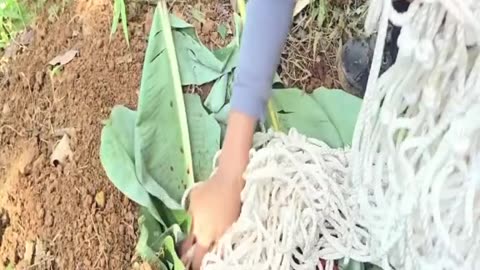1 - 21 The Miraculous Survival Journey ofa Girl- Building a Wooden House and Hunting Wild Pigs