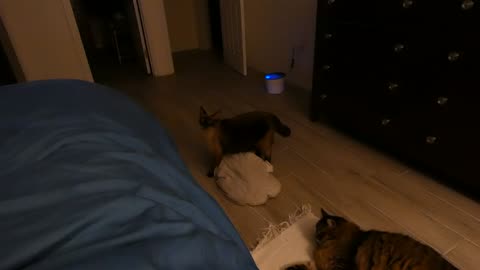 MeeshPillow