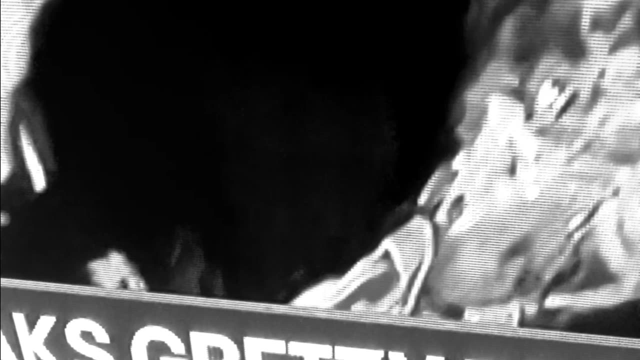 They disrespecting my man Gretzky