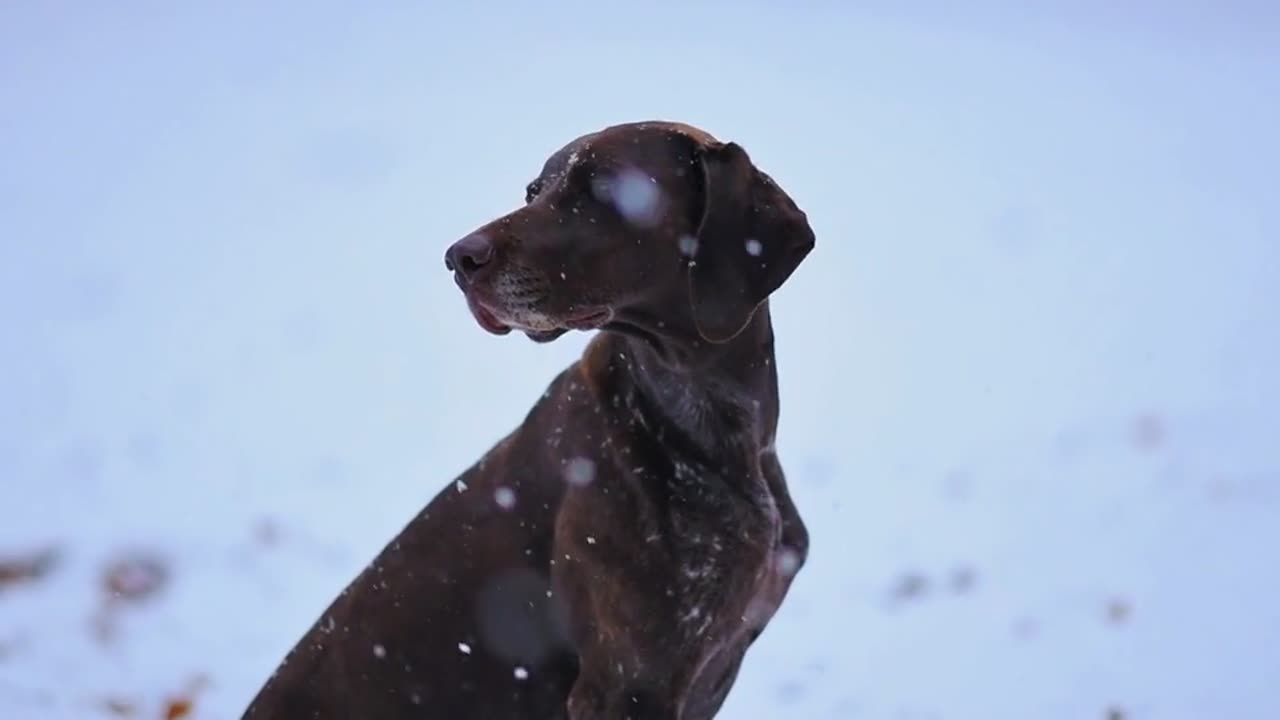 "Motivation is what gets you started. Habit is what keeps you going.