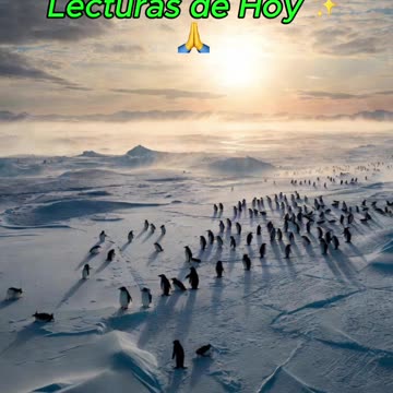 🙏✨ Oración Inspirada en las Lecturas de Hoy ✨🙏