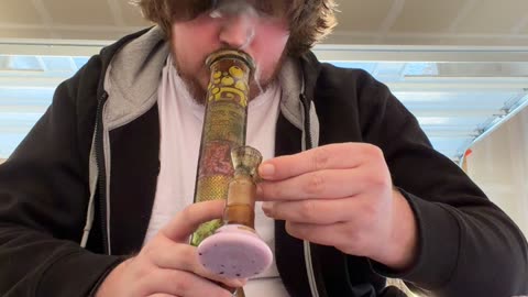 Day 97 My cat walks so heavy lol