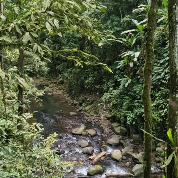Expat in the Philippines, Morning Waterfall Trek in Bukidnon 🌿💧