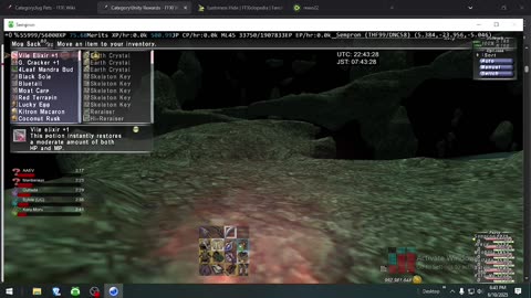 Playing Final Fantasy XI Online