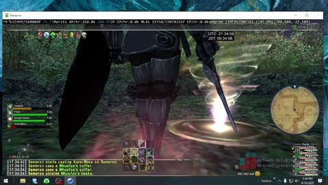 Playing Final Fantasy XI Online
