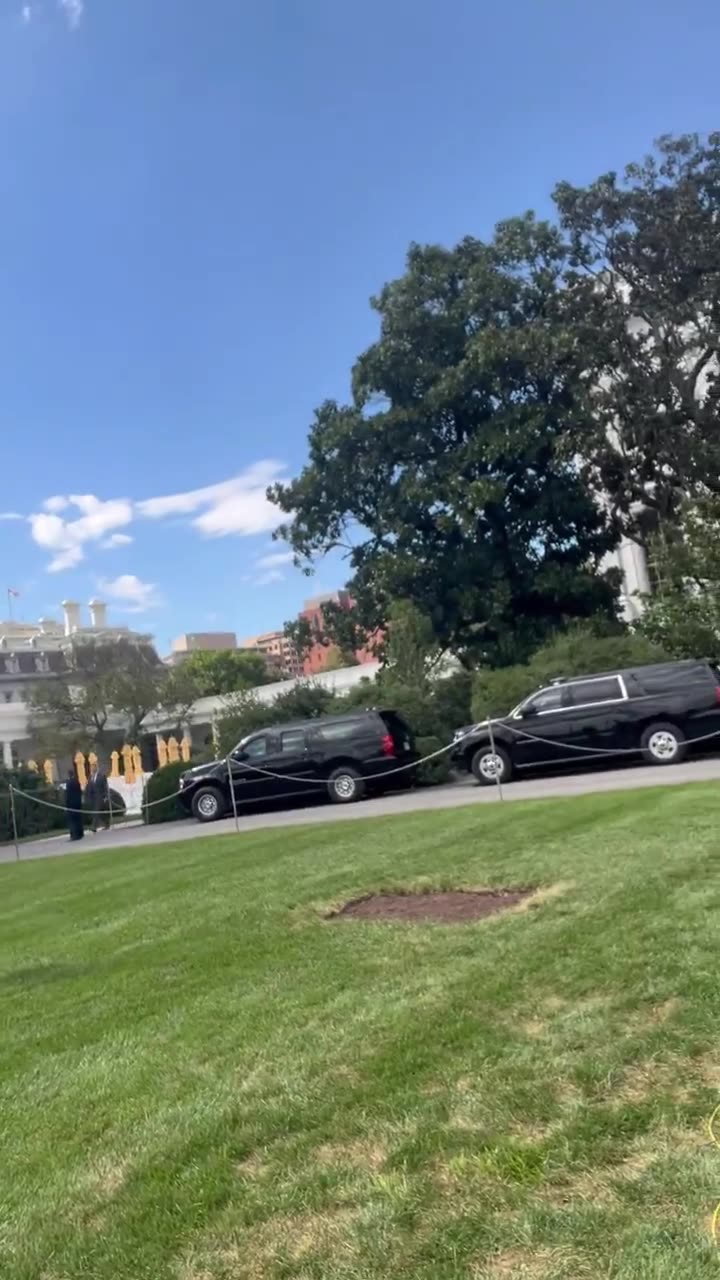 President Trump just started playing Elvis out here on the South Lawn
