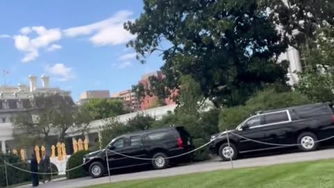 President Trump just started playing Elvis out here on the South Lawn