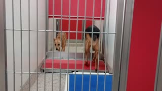 VID_20250829_190827487