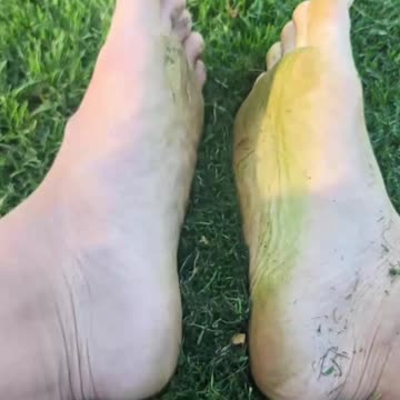 Touching Grass: Barefoot Grounding at the Park (Fresh-Cut Clippings & Grass Stain) #barefoot #grass