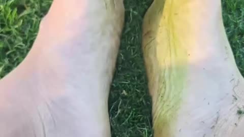 Touching Grass: Barefoot Grounding at the Park (Fresh-Cut Clippings & Grass Stain) #barefoot #grass