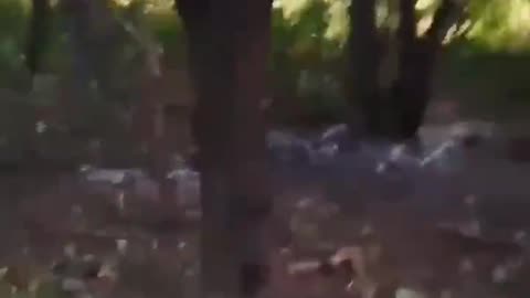 🐦🇷🇺 Ukraine Russia War | Russian Soldier's Drone Wrath | RCF