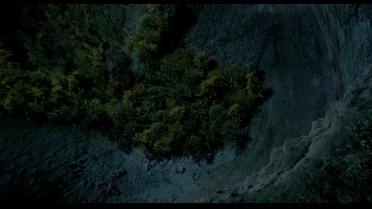 WOLVES