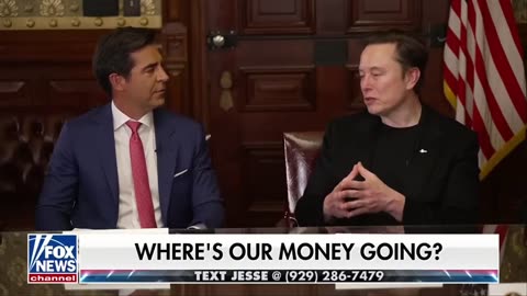 Large-scale fraud: Elon Musk reveals startling waste
