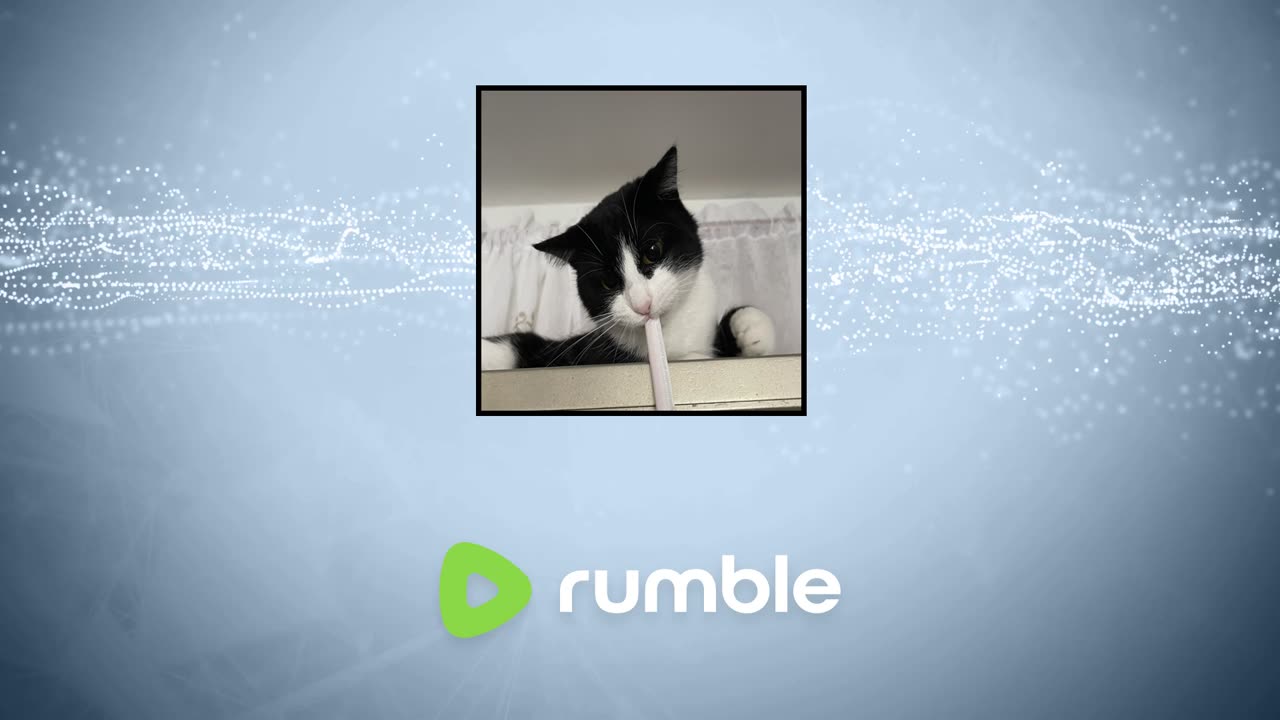 Playing GTA 5 Online | ‼️100 Followers Goal🤩