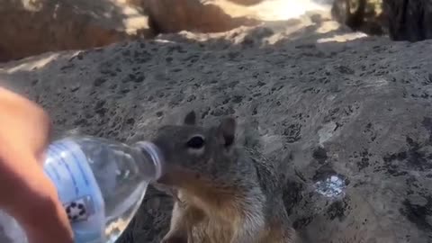 Kindness costs nothing