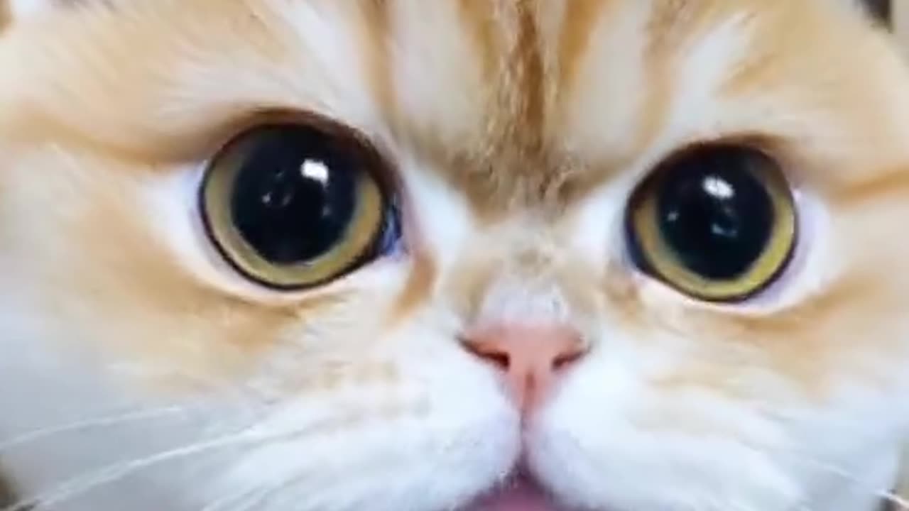 Beautiful video