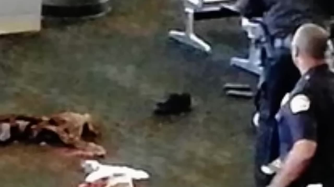 GUN LAWS IN ACTION - VOL. 618: THE 2002 LAX AIRPORT SHOOTINGS