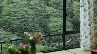 Beautiful Resort Room, Forest View, Bedroom Tour.
