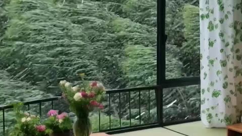 Beautiful Resort Room, Forest View, Bedroom Tour.
