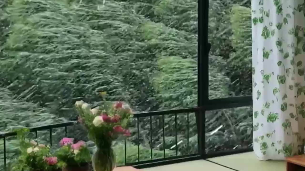 Beautiful Resort Room, Forest View, Bedroom Tour.