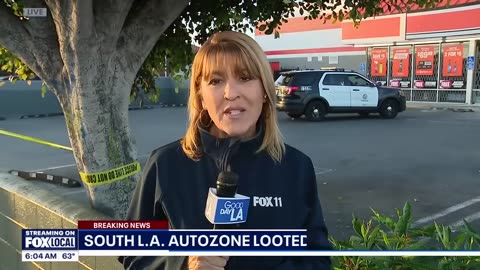 Mob of Over 100 Looters Storms LA AutoZone Store