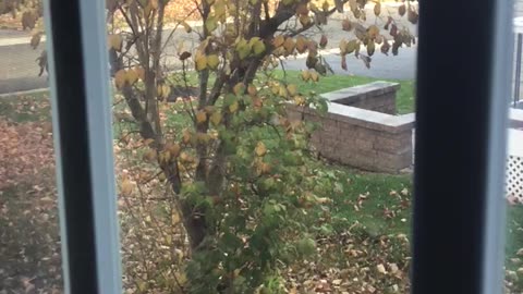 Fall Has Arrived