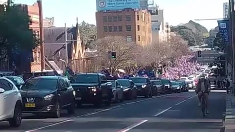 March For Australia: Crowd moves down Broadway, Sydney, with chants of "Albo's a wanker!".