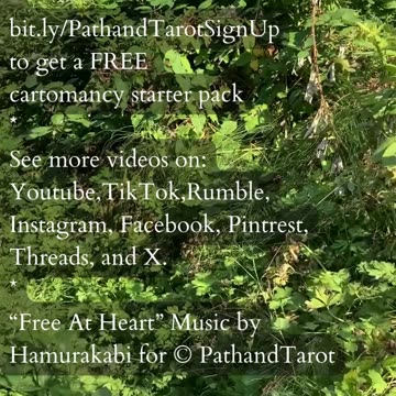 Travel Some Place New | Path and Tarot Reading