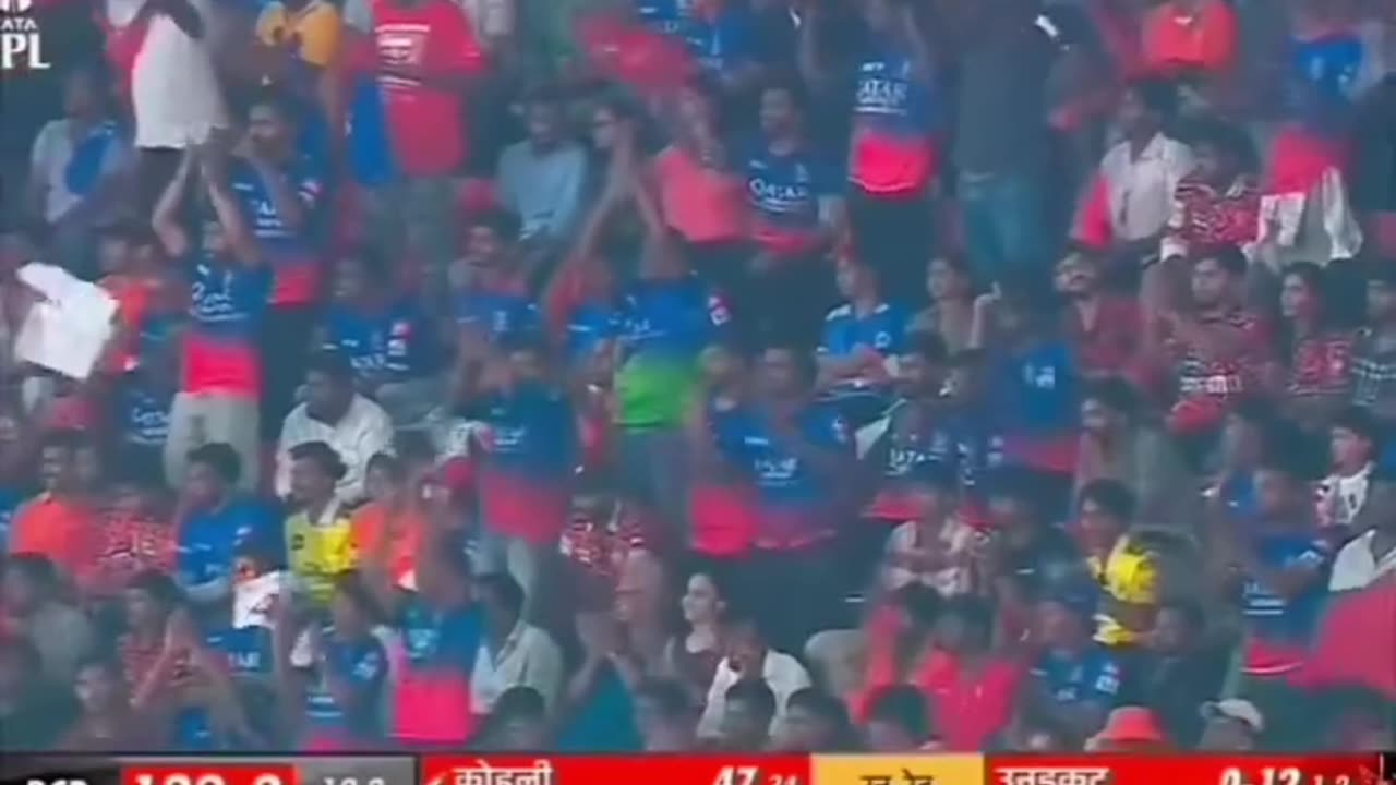Virat Kohli classic short 😊