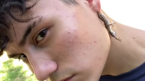 Little Lizard Makes for a Chic Earing