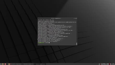 BOSS AI TERMINAL | OFFLINE SKYNET 2.0 Preview - TESTING - Fresh Mint Linux XFCE