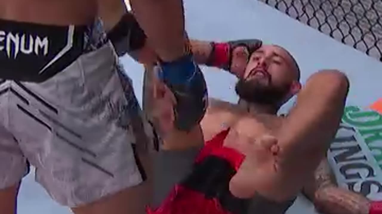 UFC Crowd Reactions | Fans Go Wild Over Knockouts