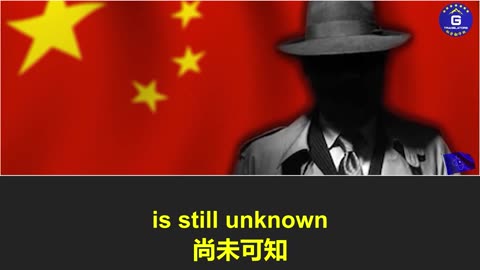 纽约前州长亚裔事务主任贺立宁辞职，再曝中共渗透美政坛！