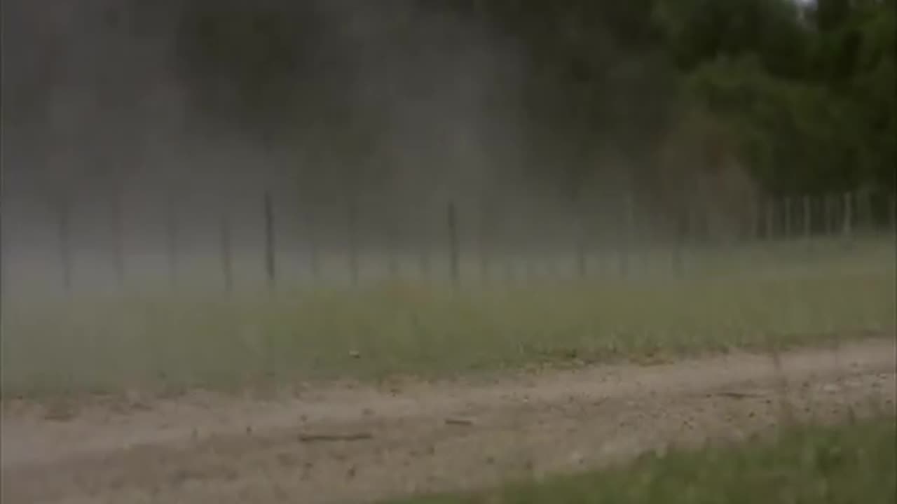 The Escape Of Adolf Hitler