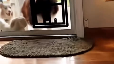 Funny situations