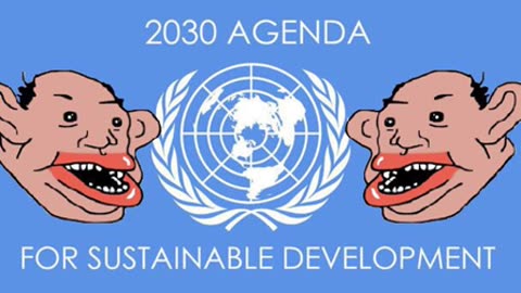 UN AGENDA 2030 AUDIO BOOK - KNOW THEIR PLAN