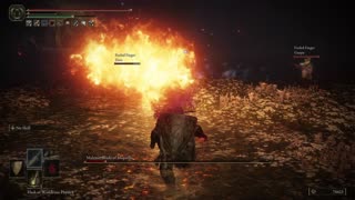 Elden Ring PC | Malenia, Blade of Miquella & Goddess of Rot boss w/2 cooperators on NG w/achievement