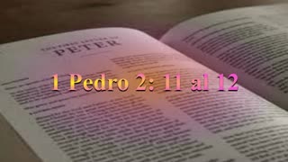 Estudio,1 Pedro 2: 11 al 12 (Verso por verso)