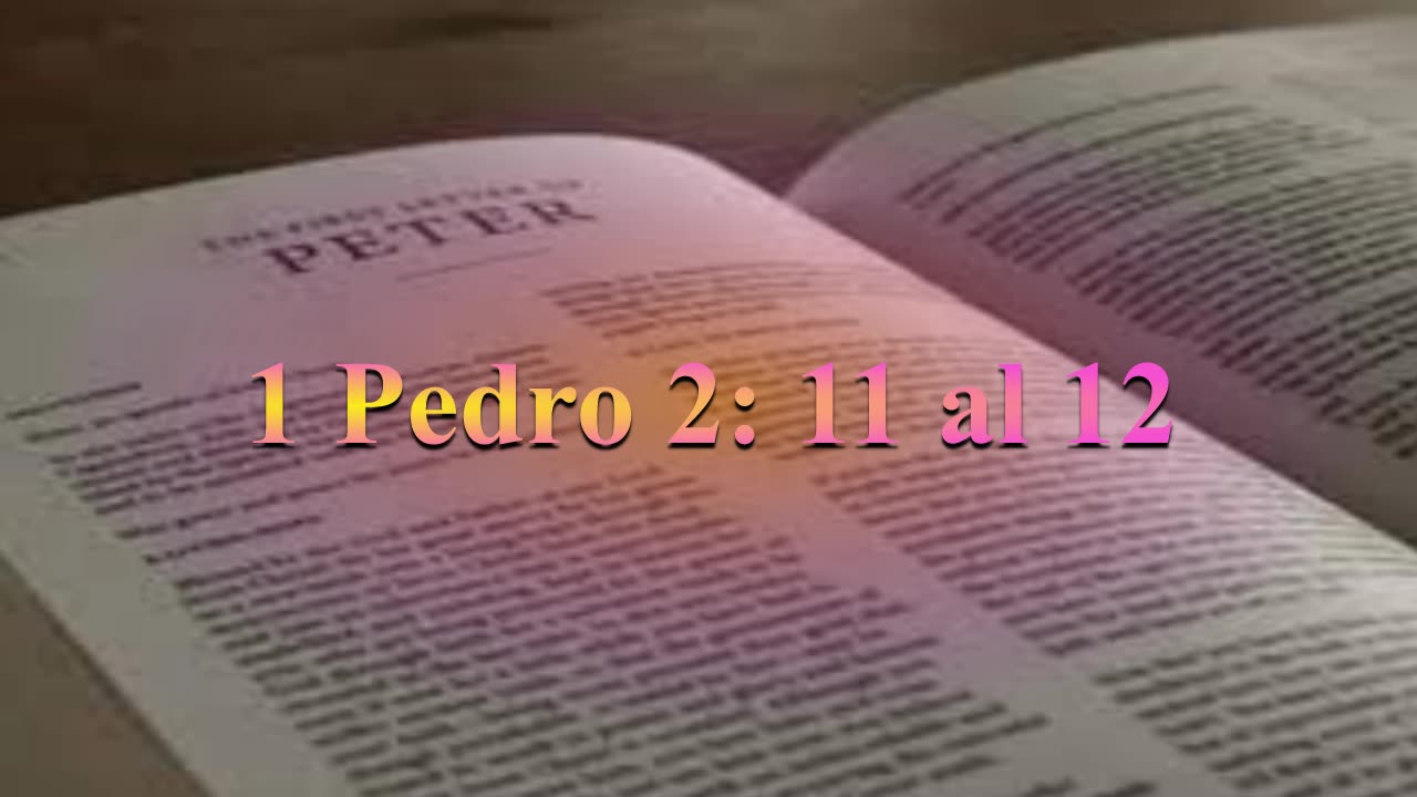Estudio,1 Pedro 2: 11 al 12 (Verso por verso)