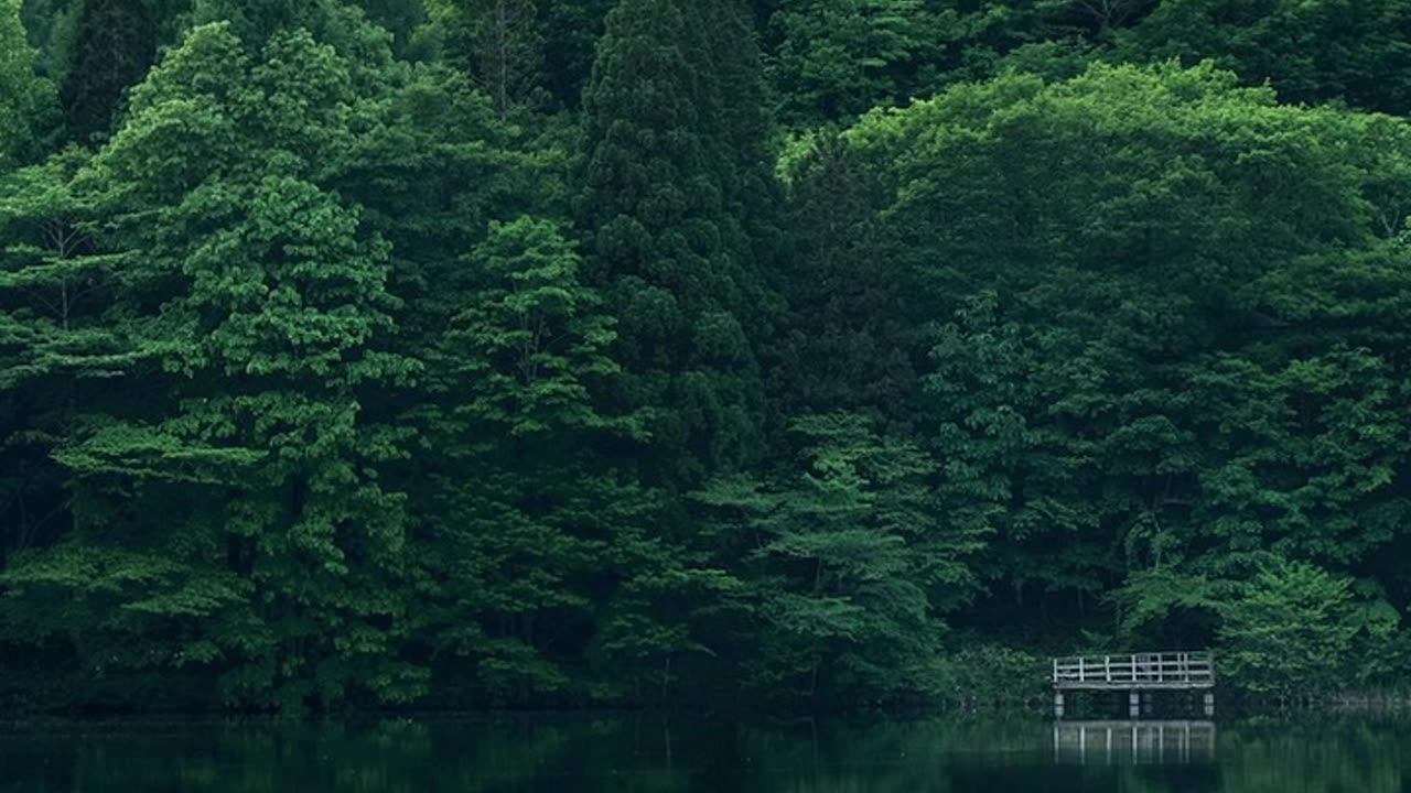 DEAGACY - Solitude LoFi short