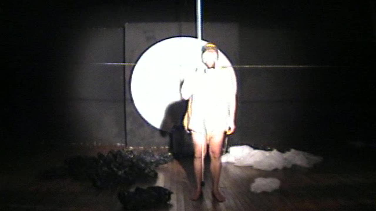 Milan Kohout, David Franklin, "Flying and Flowing" 1999, 2000