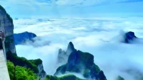 Nature’s Beauty in 30 Seconds 🌿 | Relaxing Nature Shorts India