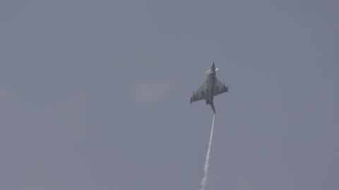 Fighter jet vs. bird: Photographer captures seagull colliding with Eurofighter