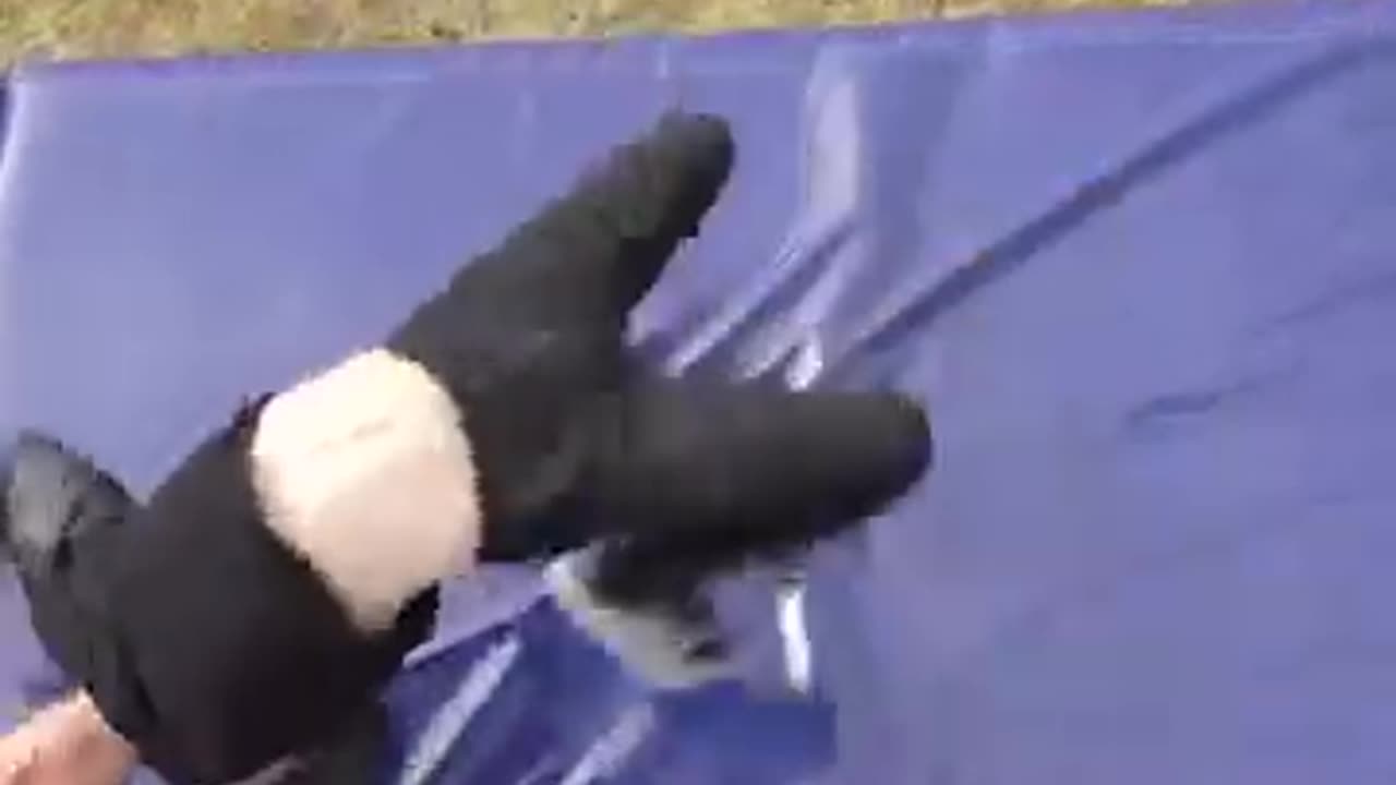 Real life vs ai funny moment