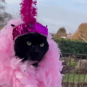 is waiting for her husband from work 😁