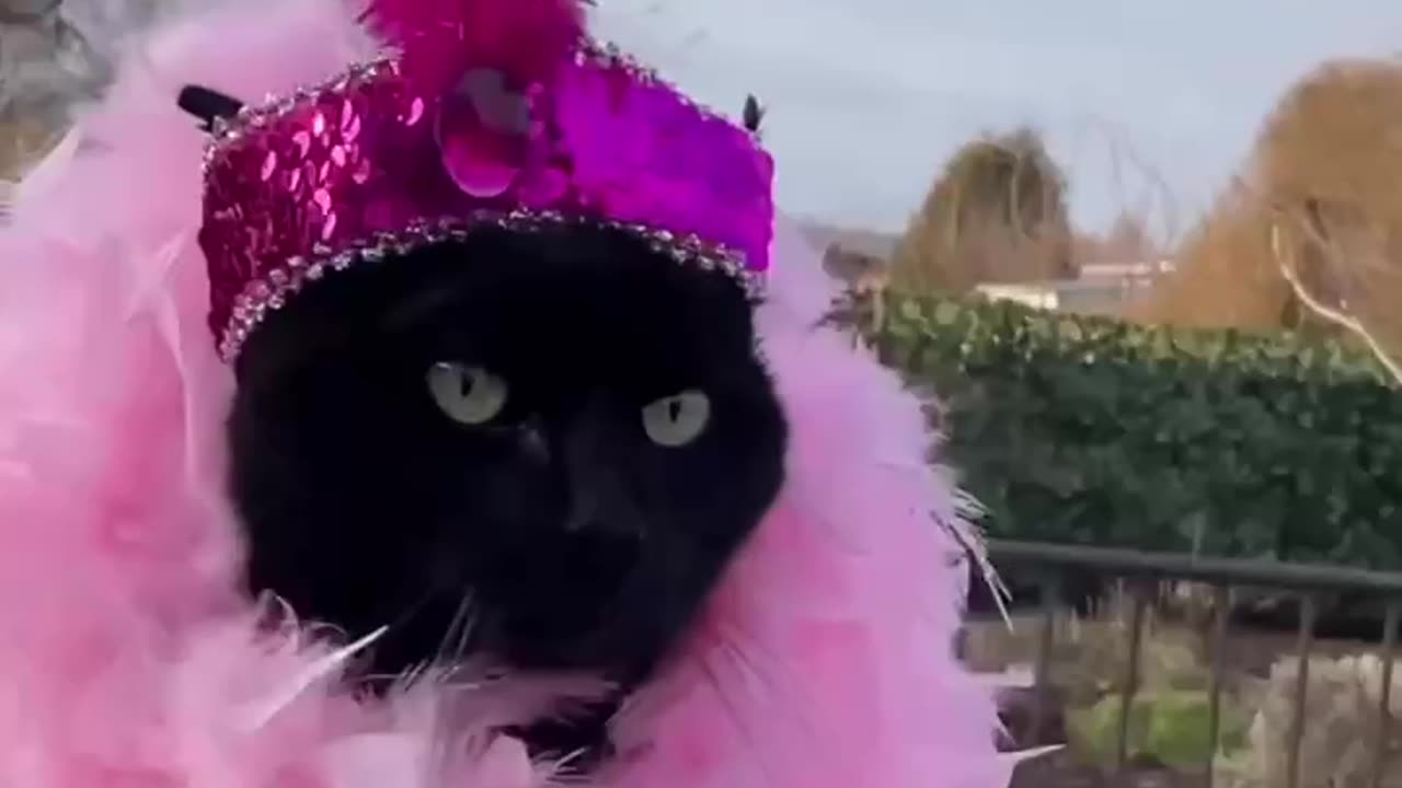 is waiting for her husband from work 😁