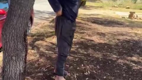 They are not sending their best.