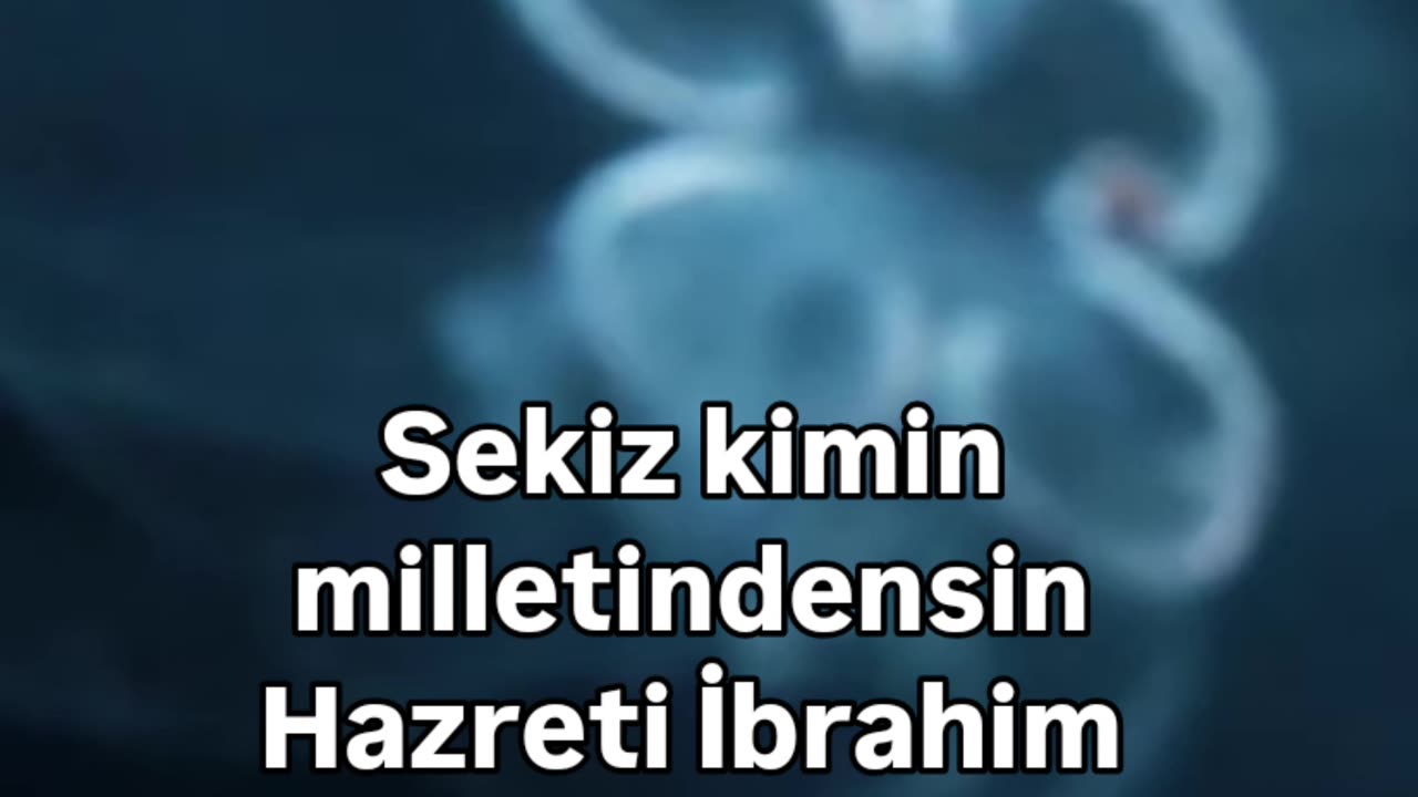 Günün sözü