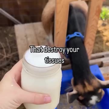 The Most Dangerous Food